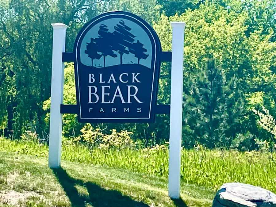 4924 Black Bear DR, Long Lake, MI 49685 - #3