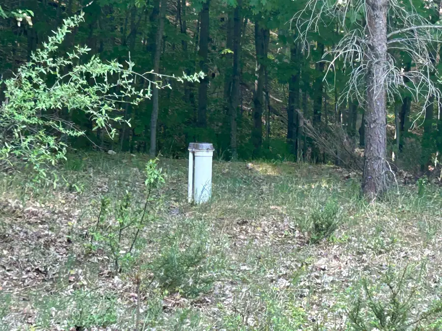 V/L Maple Ridge DR, Central Lake, MI 49622 - #3