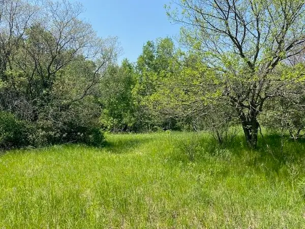 #4 Lyns, Williamsburg, MI 49690