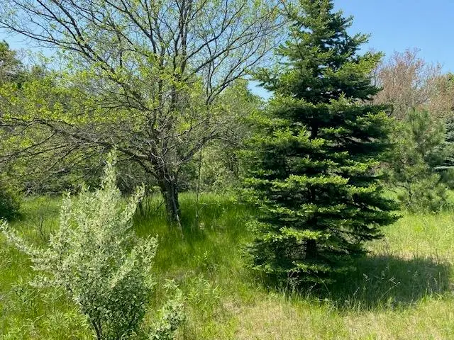 #4 Lyns, Williamsburg, MI 49690 - #2
