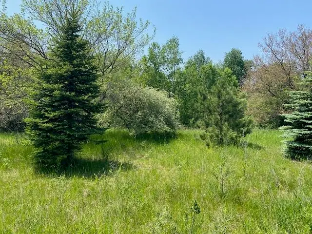 #4 Lyns, Williamsburg, MI 49690 - #3