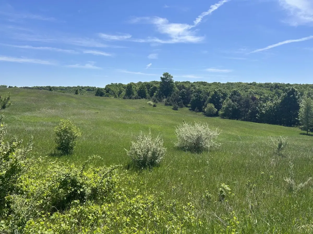 00 Maple Valley, Green, MI 49682 - #1