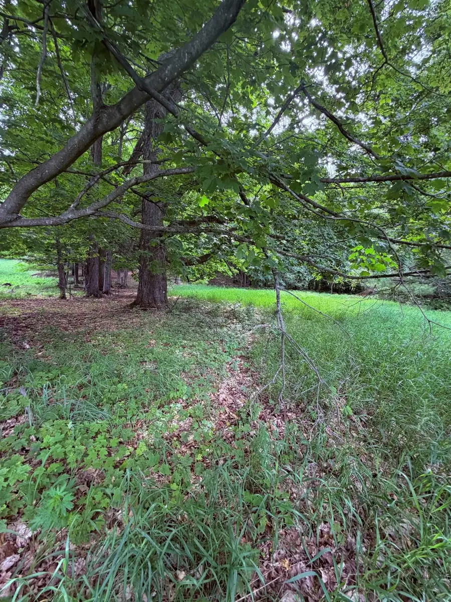unit 11 Kadi, Almira, MI 49650 - #2