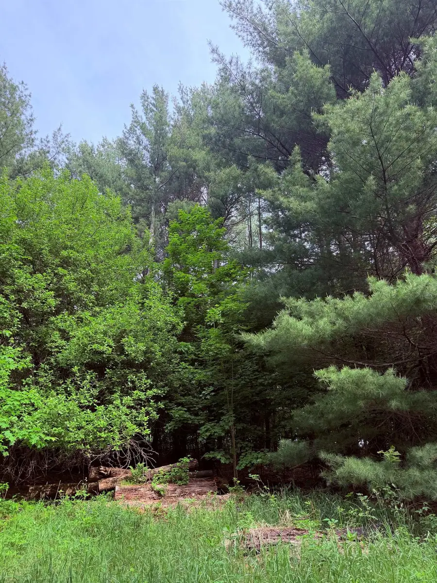 unit 11 Kadi, Almira, MI 49650 - #3