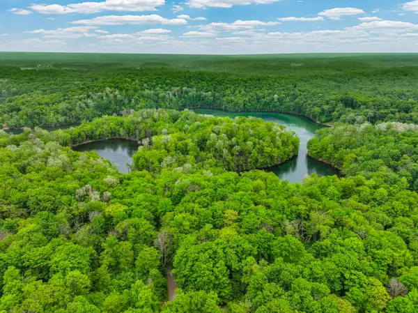 Lost Lake, Mancelona, MI 49659