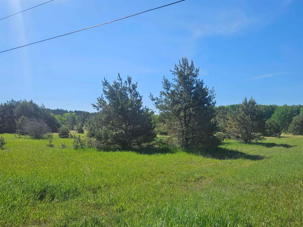 V/LParcel AF-A2 NW Smith, Rapid City, MI 49676 - #1