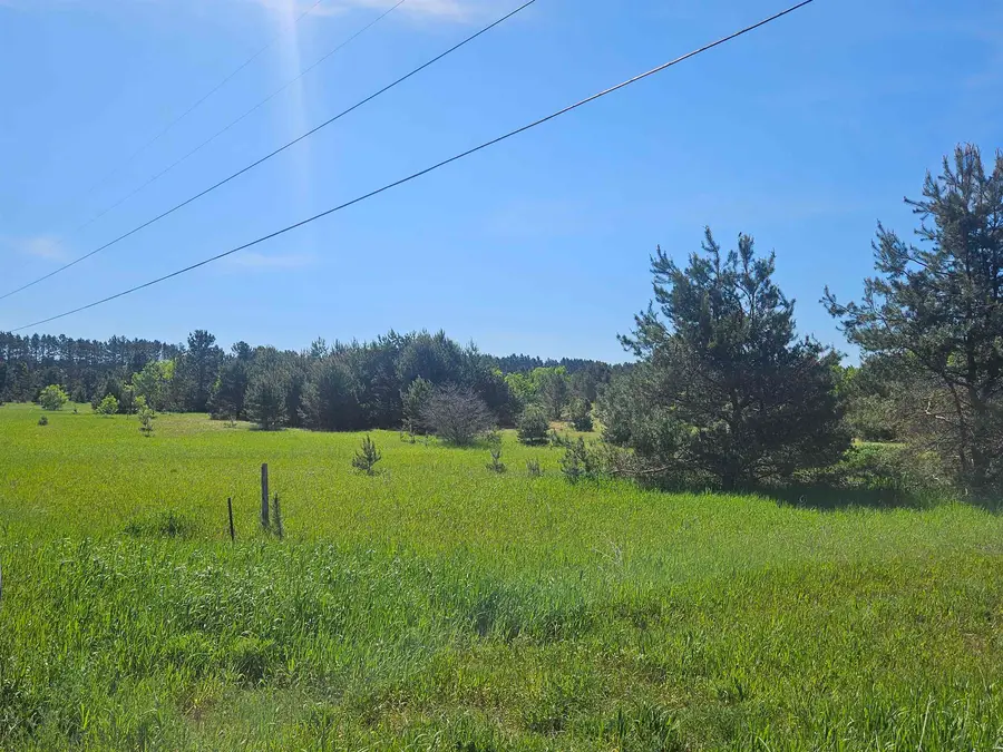 V/LParcel AF-A2 NW Smith, Rapid City, MI 49676 - #2