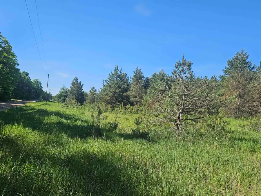 V/LParcel AF-A2 NW Smith, Rapid City, MI 49676 - #3