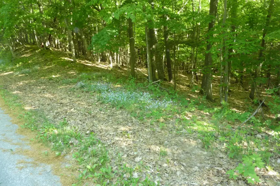 oo Point Betsie, Frankfort, MI 49635 - #2