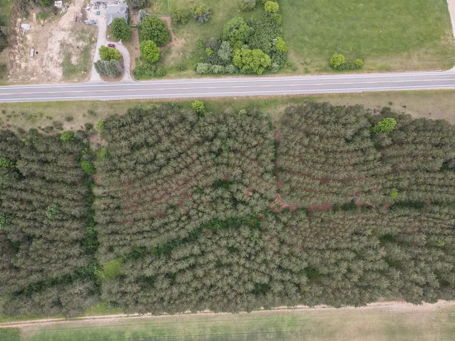 120 acres Blackman, Kingsley, MI 49649 - #2