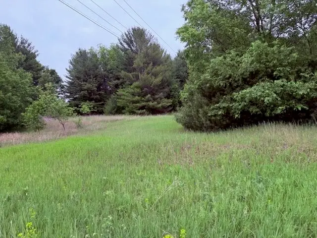 1 S M-88, Bellaire, MI 49615 - #3