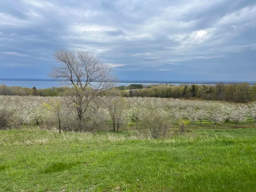 12586 Center, Peninsula, MI 49686 - #3