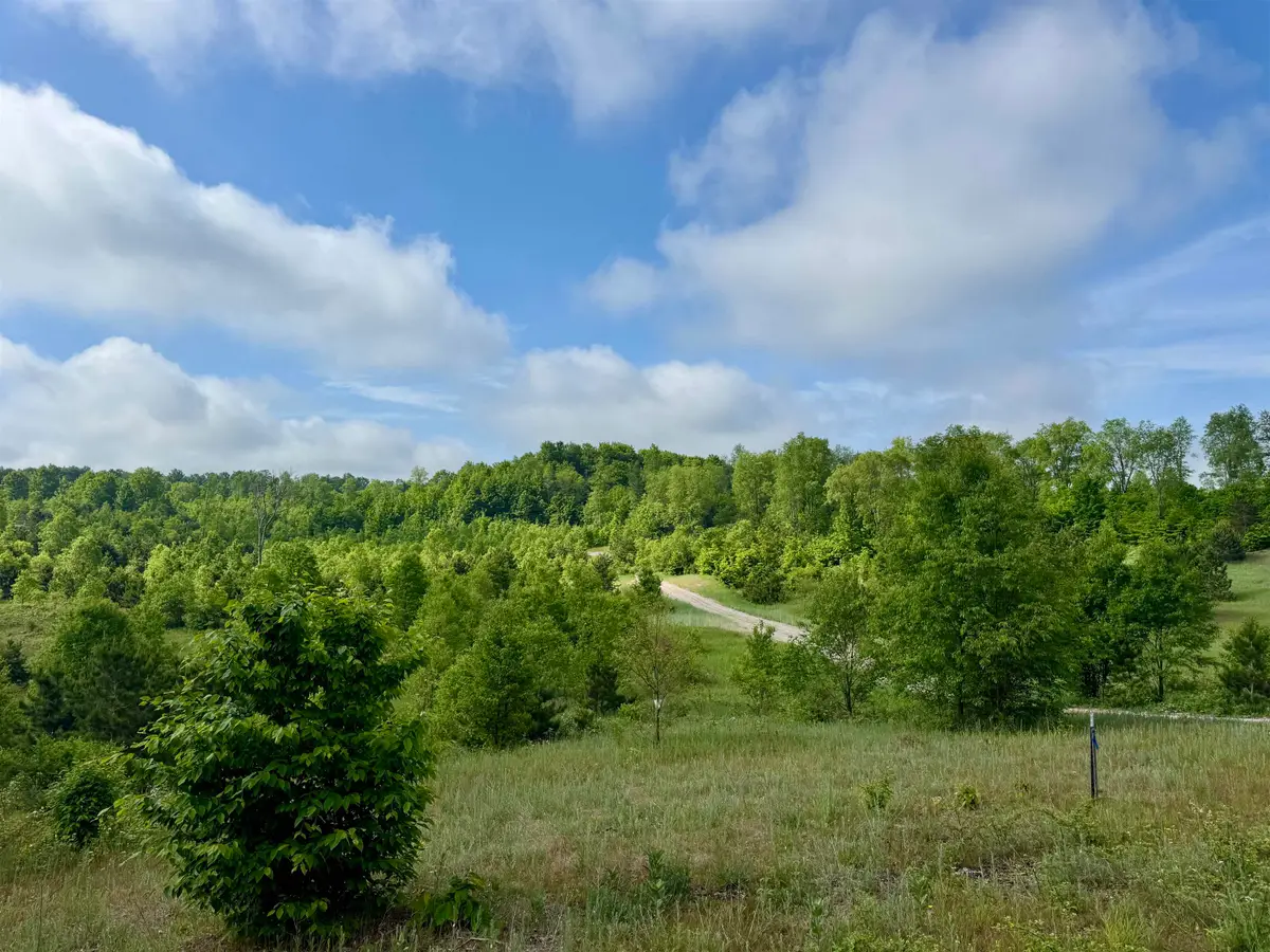 A5 & A9 Kasson RD, Kasson, MI 49664 - #1