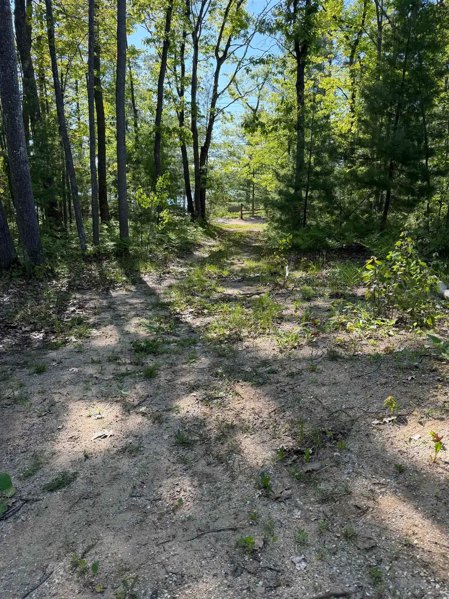 6743 Beach RD, Johannesburg, MI 49751 - #3