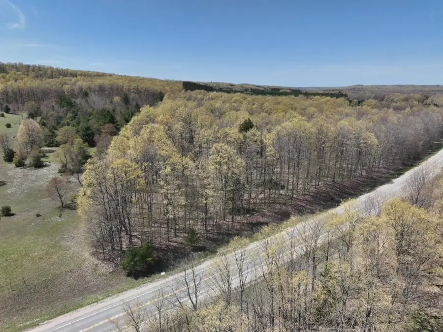 Parcel 3&4 S M-66, Mancelona, MI 49659 - #2