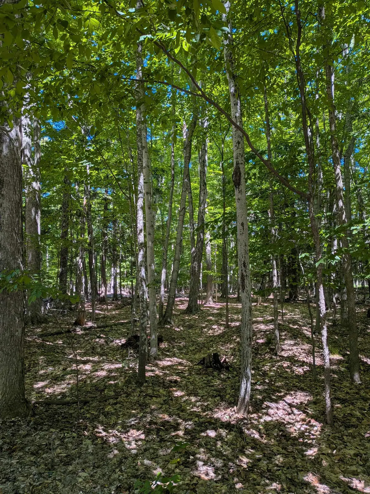 M-48, Pickford, MI 49774 - #1