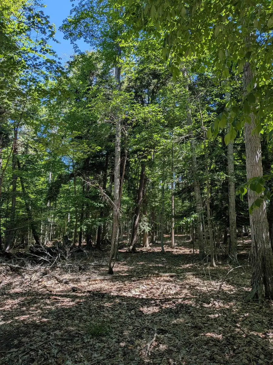 M-48, Pickford, MI 49774 - #2