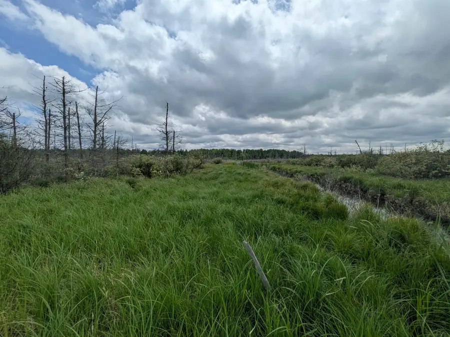 M-48, Pickford, MI 49774 - #3