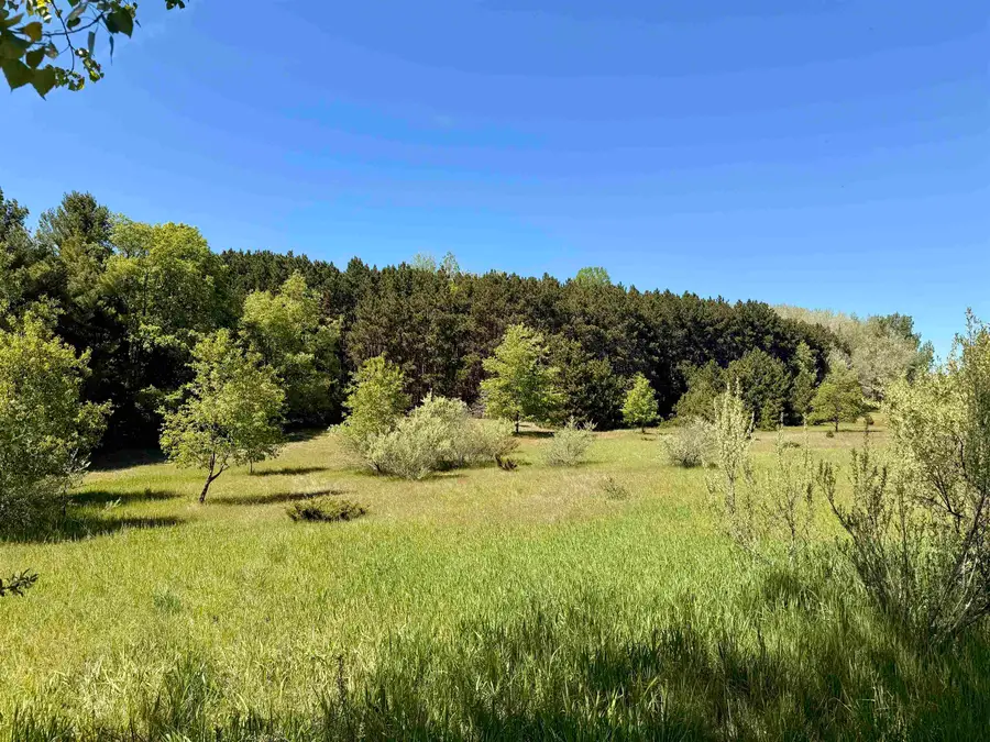 6A S Lime Lake, Cedar, MI 49621 - #2