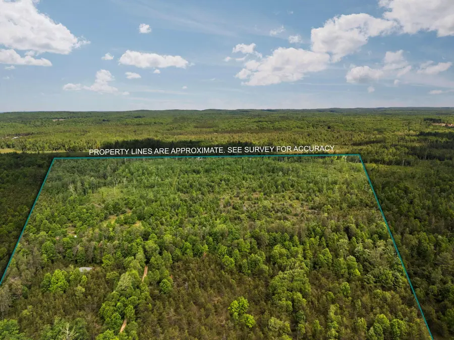 4011 W Forest, Forest, MI 49651 - #2
