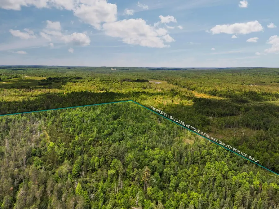 4011 W Forest, Forest, MI 49651 - #3