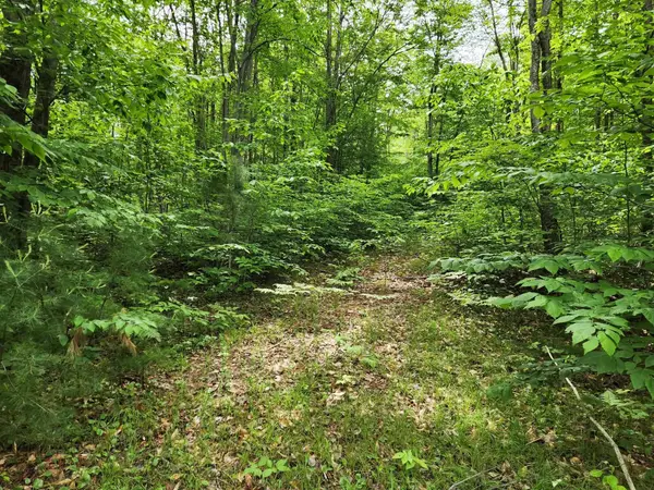 10 Acres Blue Lake Road, Ne, Kalkaska, MI 49646