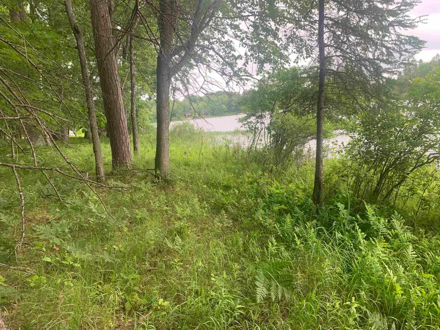 00 Wildwood CT, Evart, MI 49631 - #2