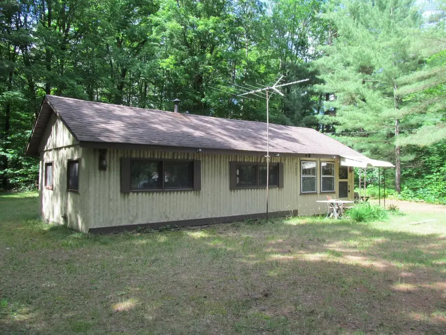 11052 N Hodenpyle Dam, Mesick, MI 49668 - #2