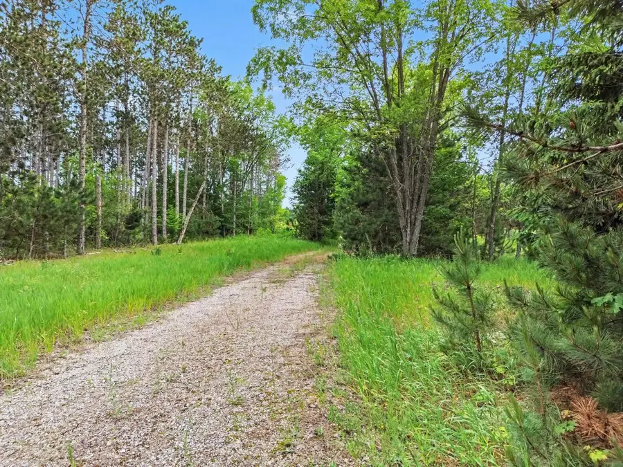 0 W 12 1/2 RD, Mesick, MI 49668 - #2