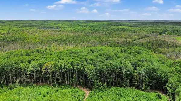 V/L Third RD, Kalkaska, MI 49646