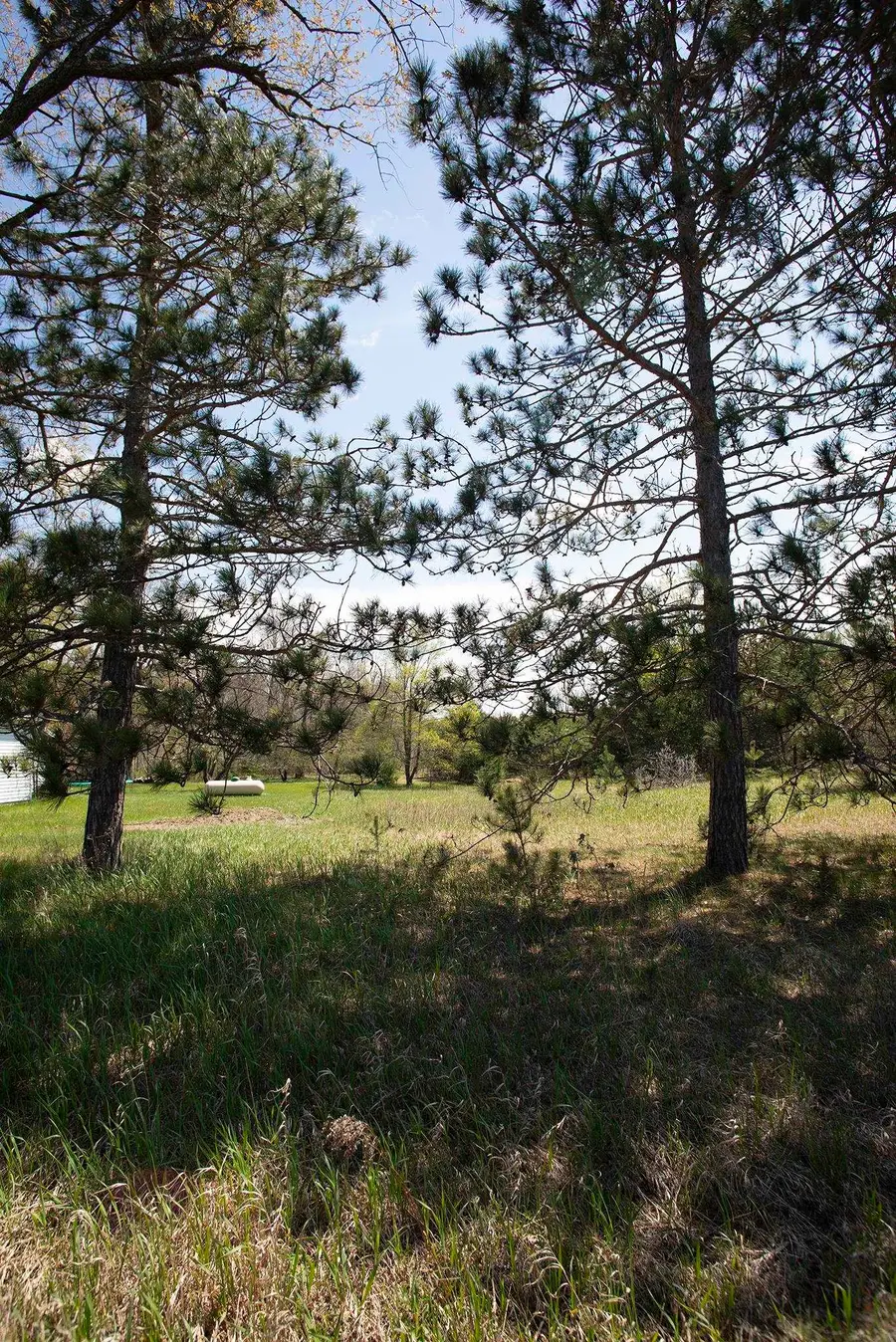 0002 M-66 SE, Fife Lake, MI 49633 - #2