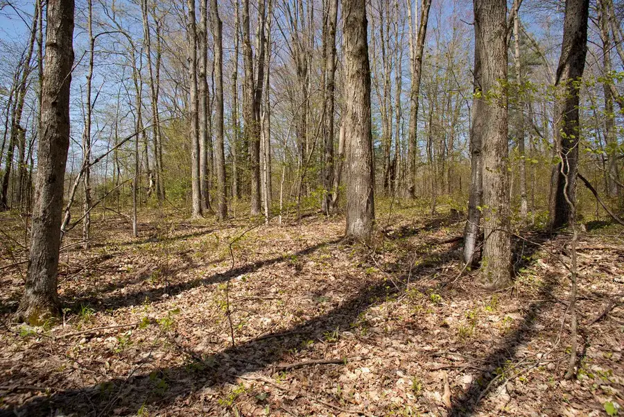 0002 M-66 SE, Fife Lake, MI 49633 - #3