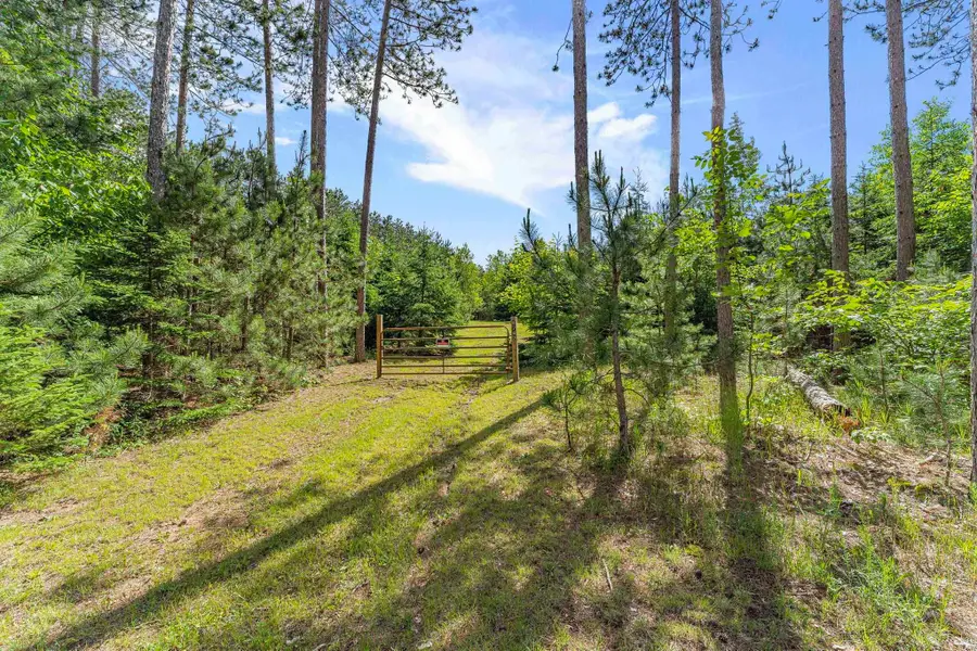 8767 Rustic, Fife Lake, MI 49633 - #2