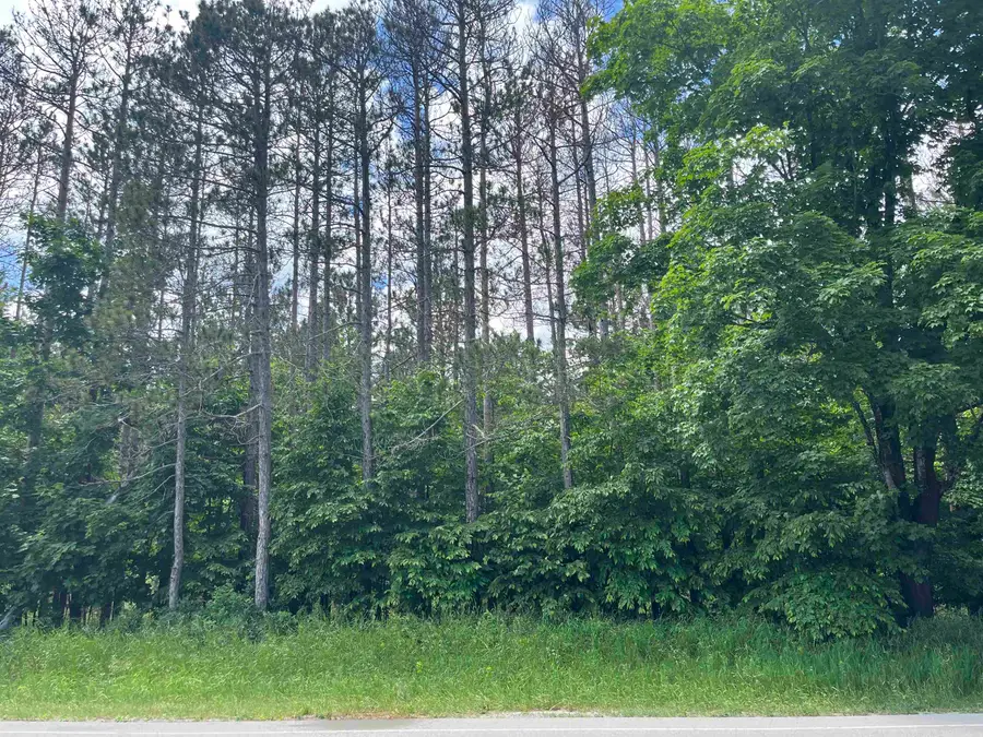 Parcel C Maple City HWY, Almira, MI 49650 - #3