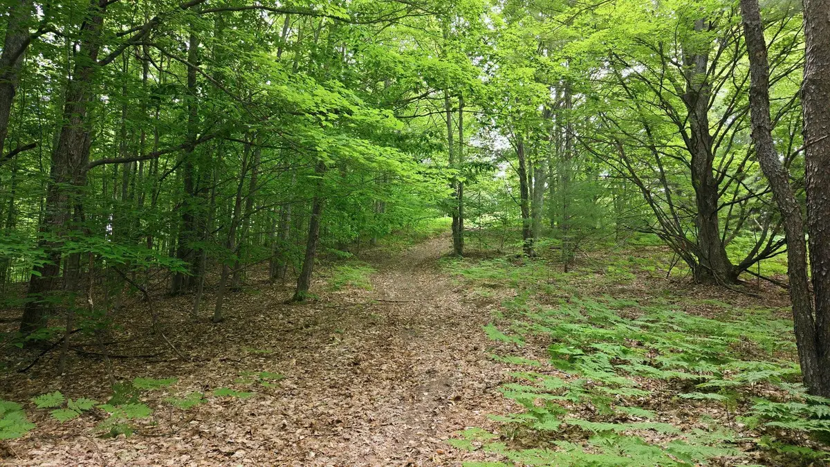 3982 SE Mitchell RD, Kalkaska, MI 49646 - #1