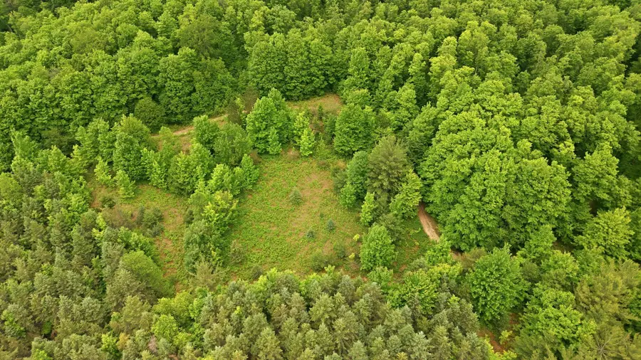 3982 SE Mitchell RD, Kalkaska, MI 49646 - #2