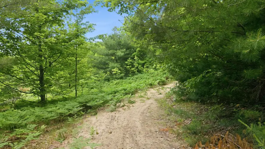 3982 SE Mitchell RD, Kalkaska, MI 49646 - #3
