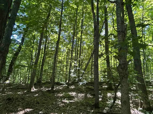 Lot 129 Troon South, Bellaire, MI 49615