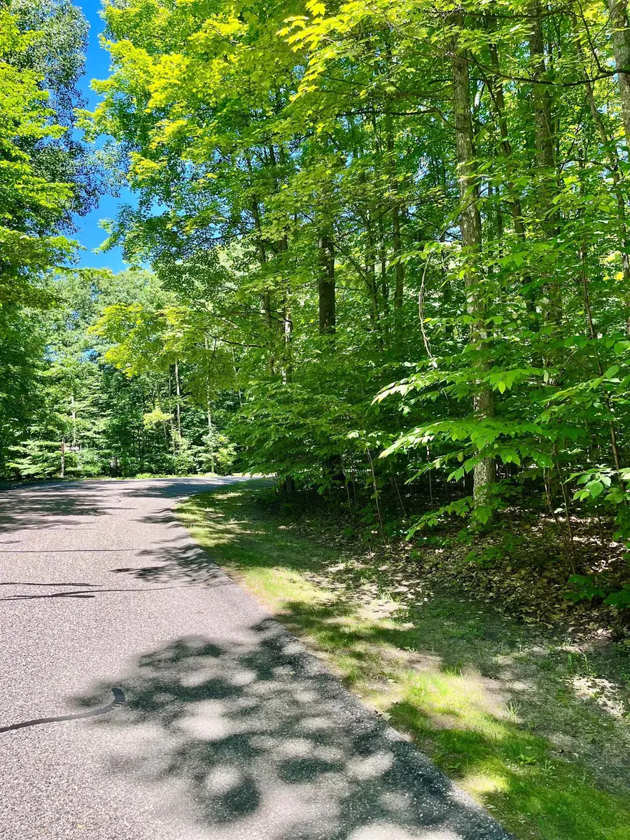 62 Valley RUN, Bellaire, MI 49615 - #3