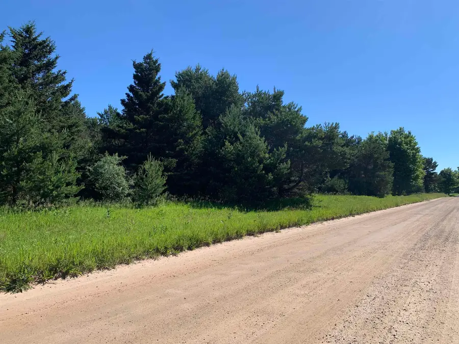 M-37, Buckley, MI 49620 - #3