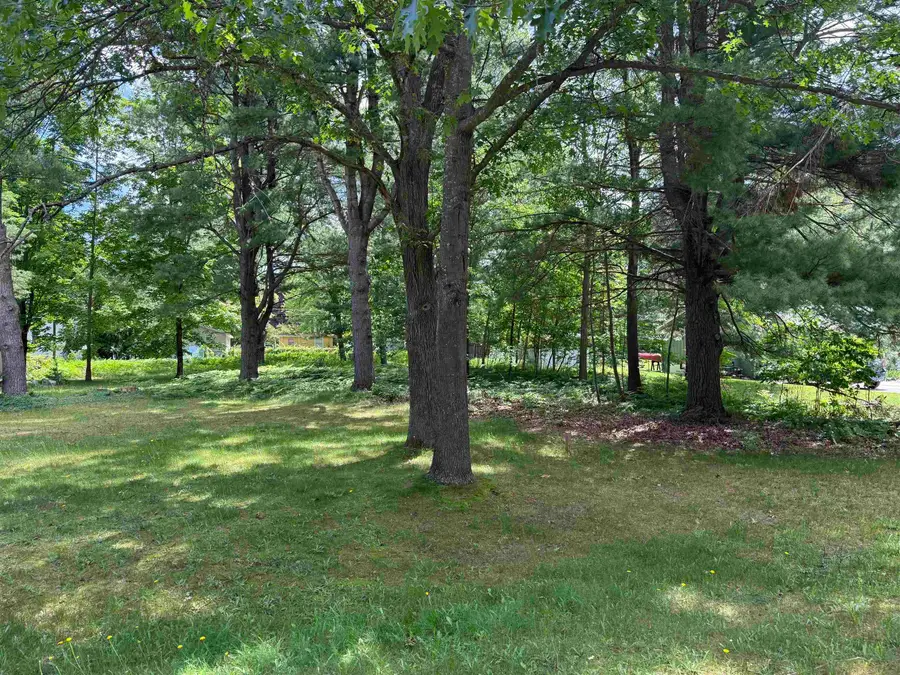 Lot 3 Evelyn, Acme, MI 49686 - #2