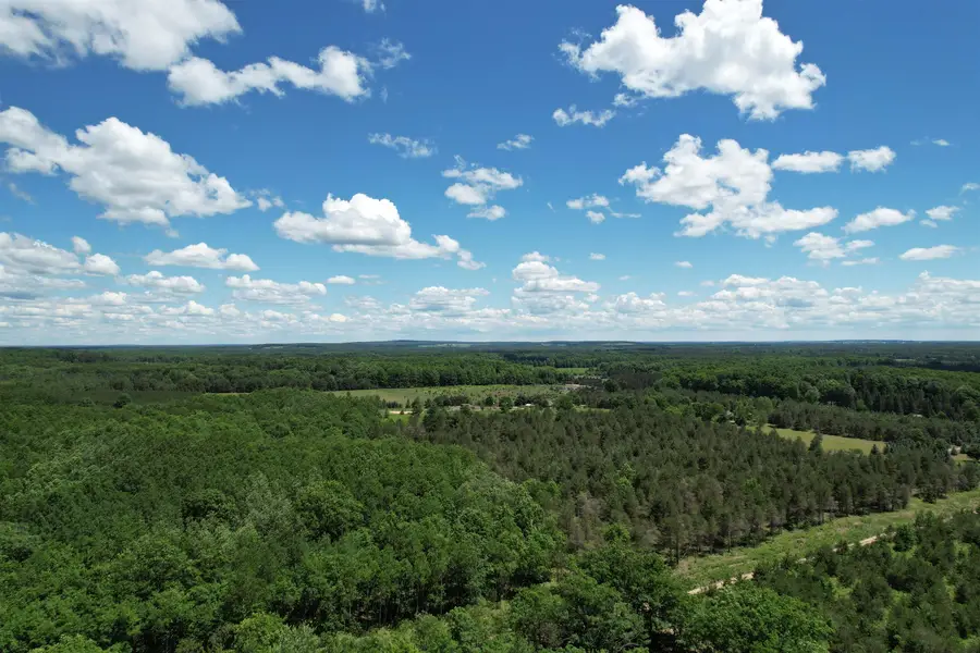 2966 W Houghton Lake, Forest, MI 49651 - #3