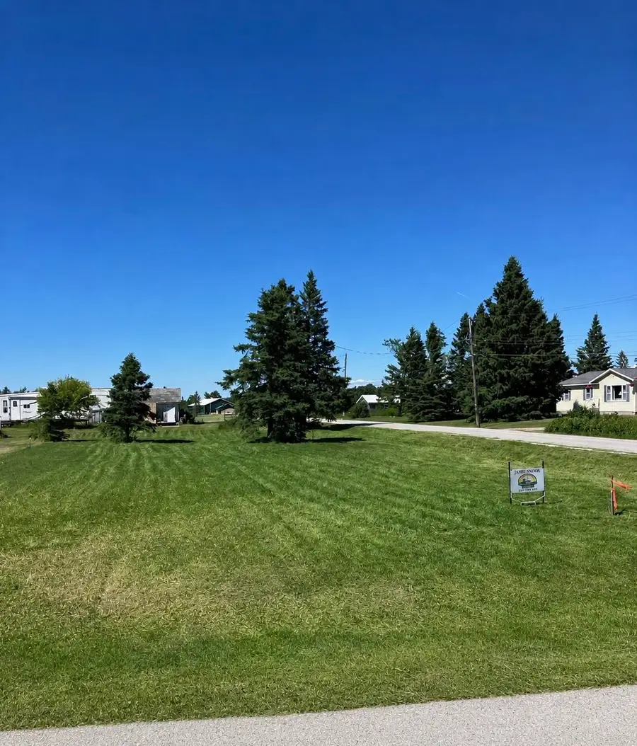 N Manila Rd Road TBD, Pickford, MI 49774 - #2