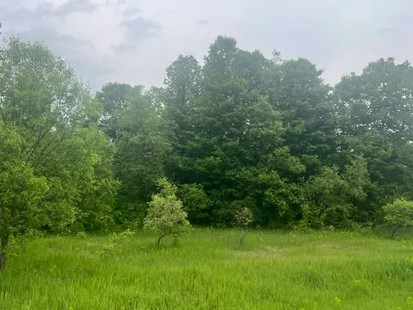 00 Wood Road, Kalkaska, MI 49646