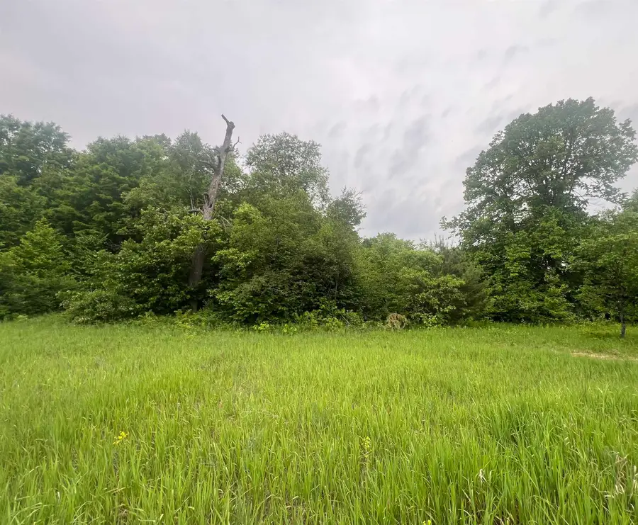 00 Wood Road, Kalkaska, MI 49646 - #2