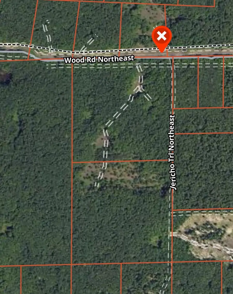 00 Wood Road, Kalkaska, MI 49646 - #3