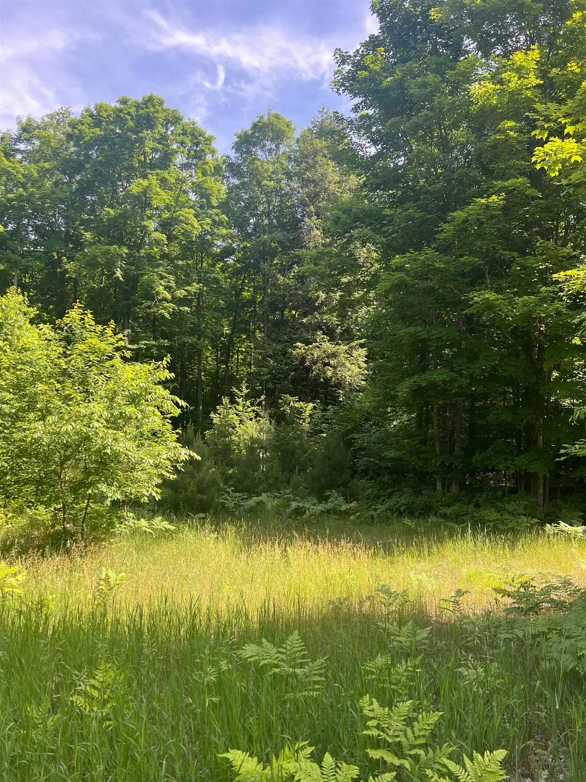 Parcel G O'Dell, Williamsburg, MI 49690 - #1