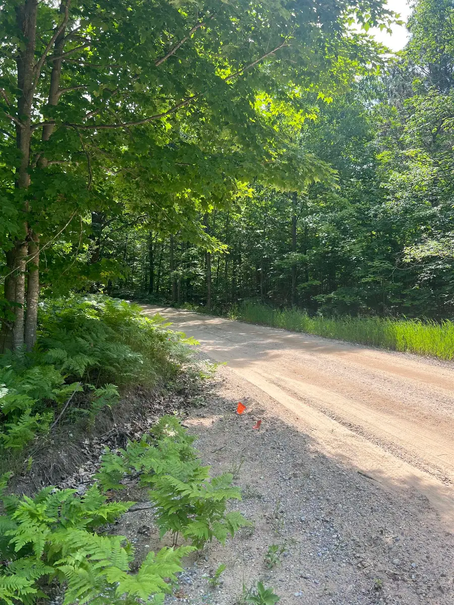Parcel G O'Dell, Williamsburg, MI 49690 - #2