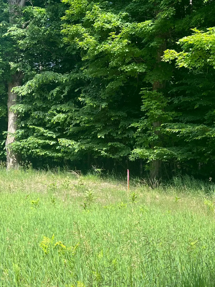 Parcel G O'Dell, Williamsburg, MI 49690 - #3