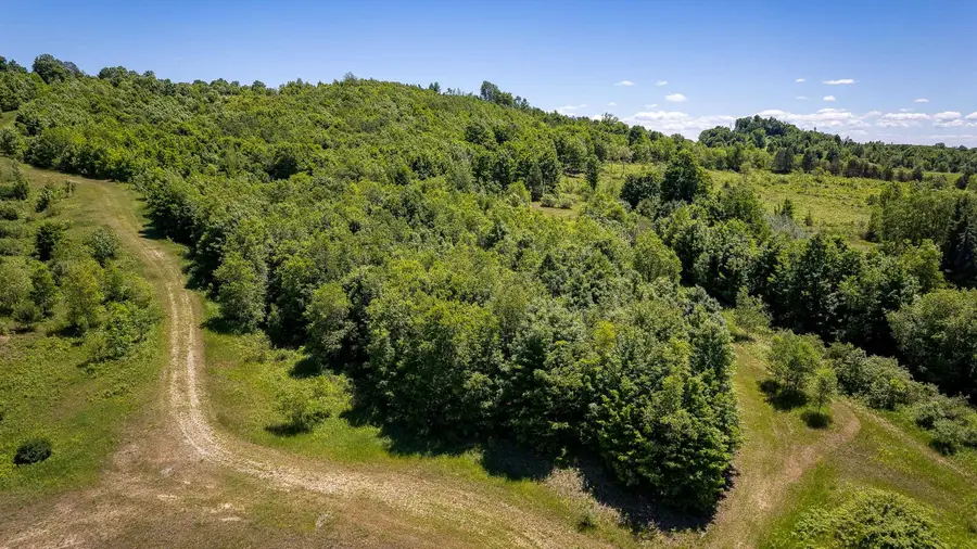 000 Nessen City, Copemish, MI 49625 - #3